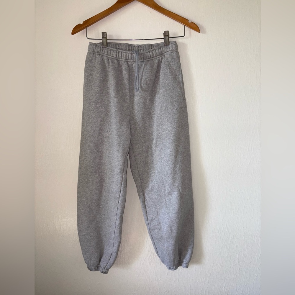 ARITZIA Mega Fit Cozy Fleece Grey Sweatpants Size XS